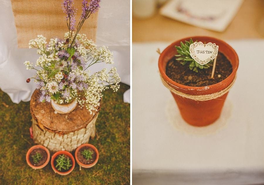 Flowers in pots