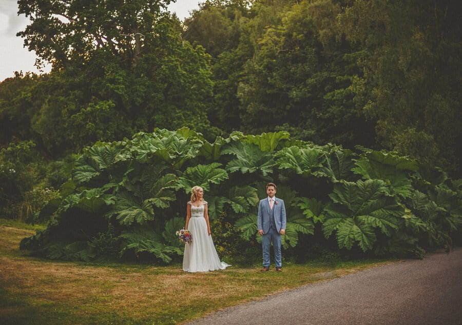 The bride and groom stand at the bottom of the garden at Cole Hayes Park