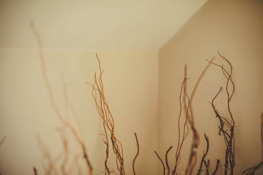 A tree decoration in the corner of the room