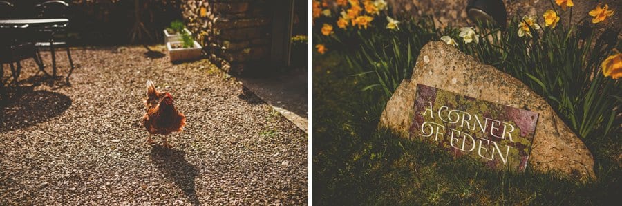 A chicken walks across the front garden of the cottage
