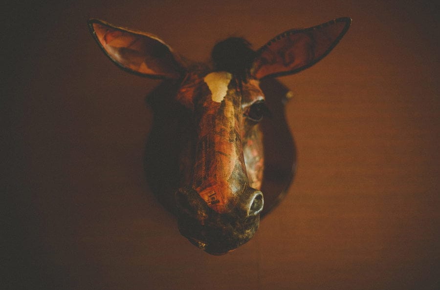 A wooden sculpture of a horses head hangs on the wall at Cowley Manor in Gloucestershire