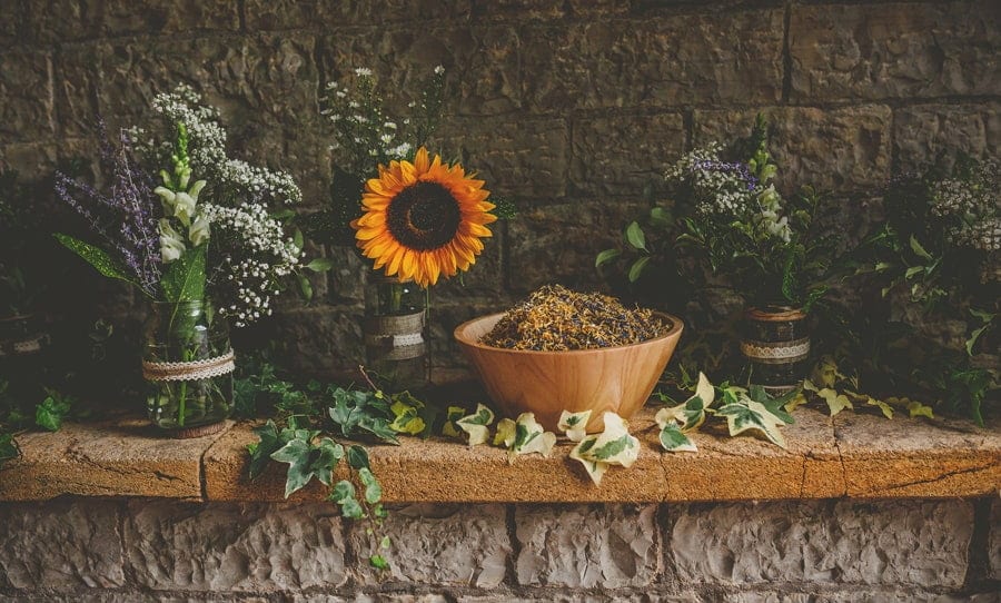 A sunflower in a small glass jar next to other various plants on glass jars