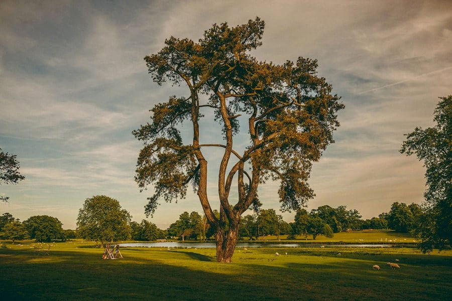The gardens at the front of the house at Wilderness reserve