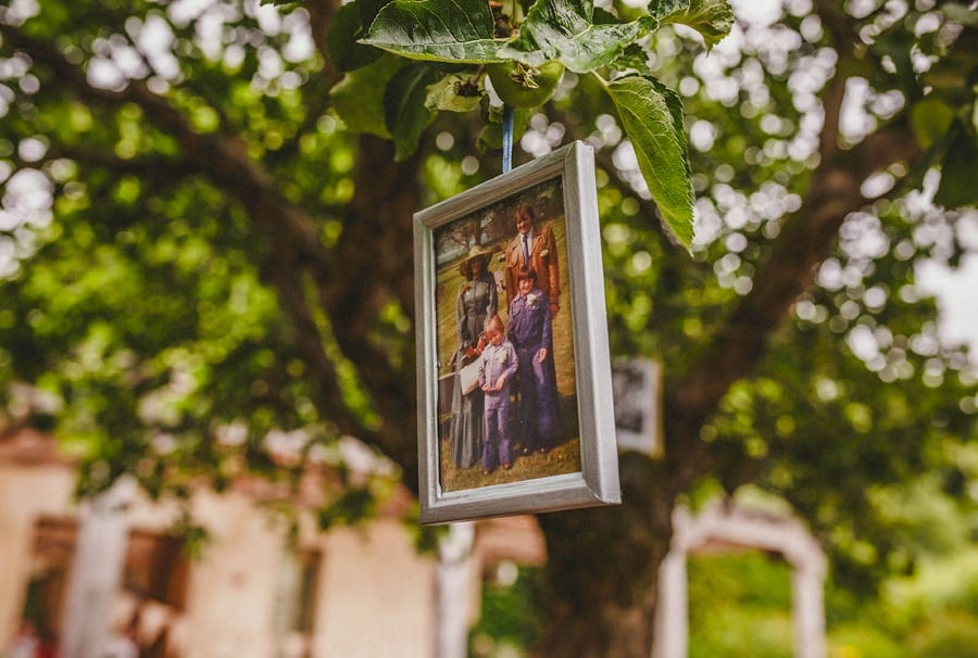 A photograph hangs from a branch on the tree