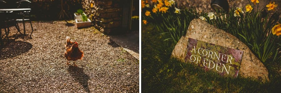A chicken walks across the front garden of the cottage