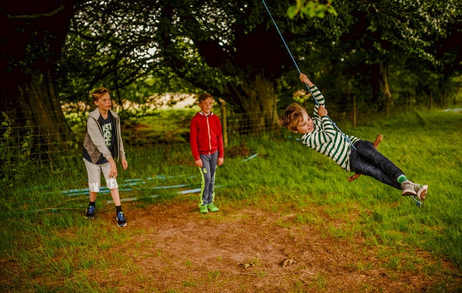 A boy swings from a rope hanging from a tree as his friends watch in the background
