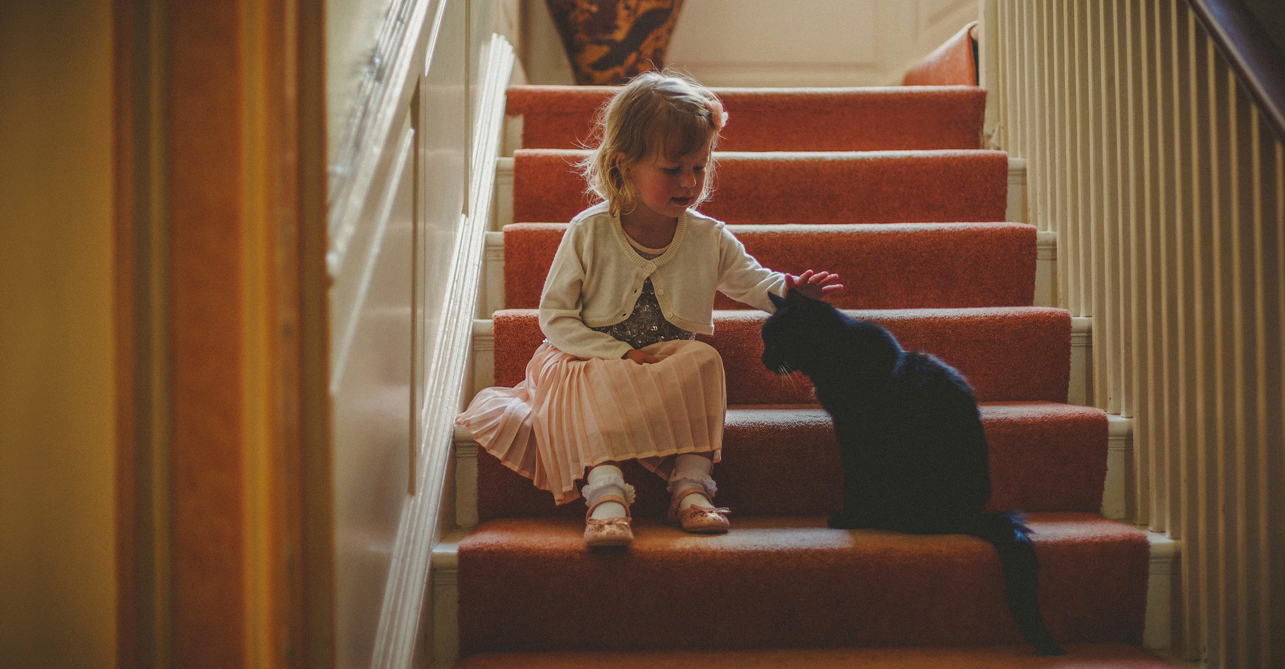 A flower girl sits on the staircase and strokes the house cat